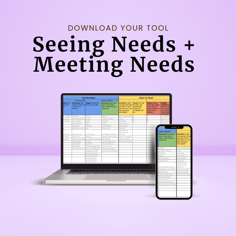 Seeing Needs Meeting Needs Mockup
