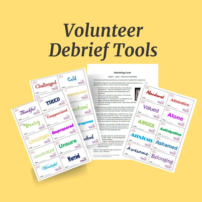 Volunteer Debrief Tools Mock-up