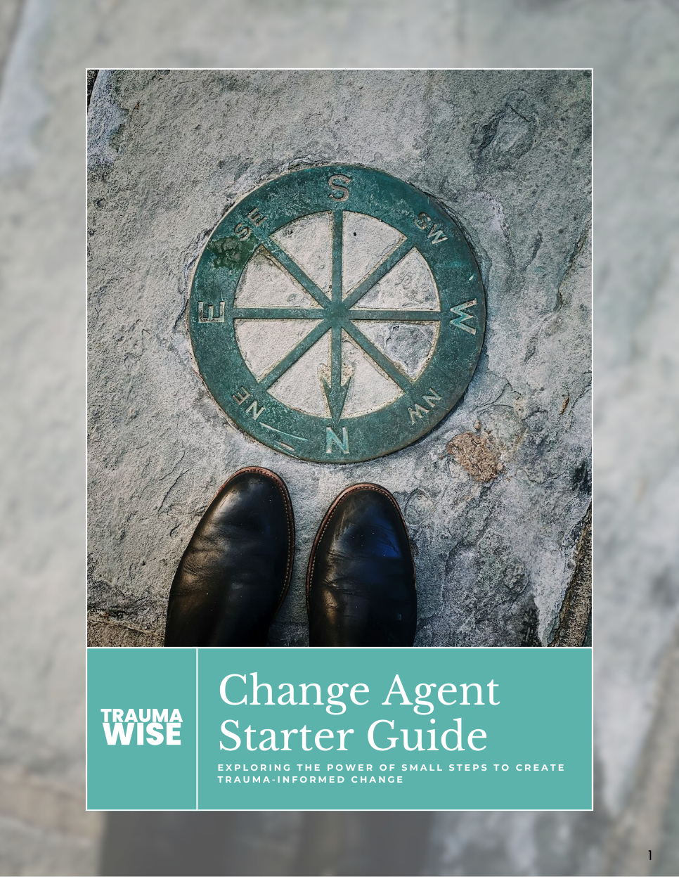 Get Your Change Agent Starter Guide - TraumaWise